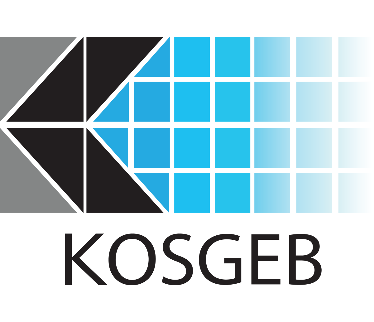 KOSGEB'den Uluslararasılaşma Destek Programı