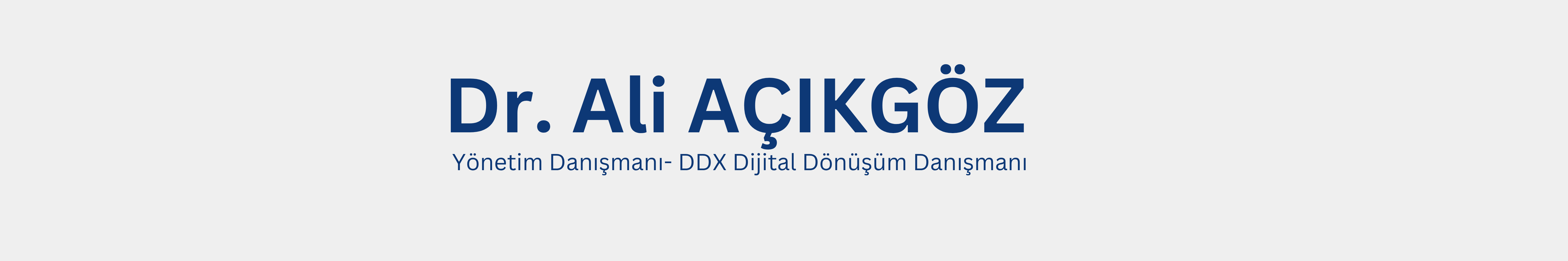 Yönetim Danışmanlığı Nedir?